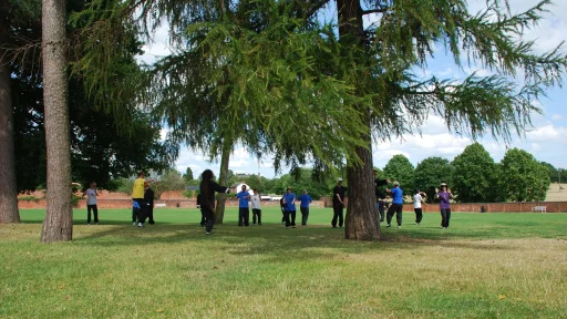 Pine is a symbol of longevity